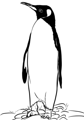 King Penguin Coloring Page